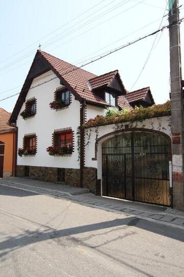 Фотографии Гостевой дом Casa de vacanta Vidrighin г. Rau Sadului (Румыния) №1 Фото Гостевой дом Casa de vacanta Vidrighin г. Rau Sadului 1